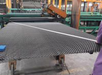 Diagonal Inspection of Woven Mesh