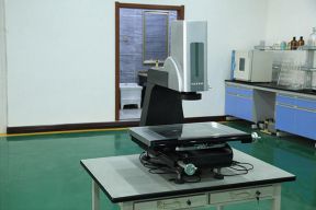 mirror image analysis apparatus